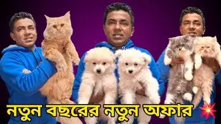Katabon Animal market in Bangladesh | Dog price in Bangladesh | Cat price in Bangladesh
