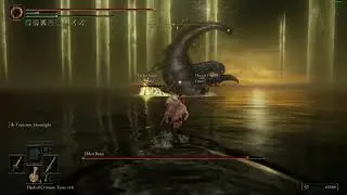 the most beautiful music sync ive experienced in this game (ER ENDGAME SPOILERS)