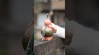 Every Wanderer Deserves a Gourd Like This