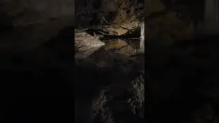 Down in the cave at Florida caverns state park