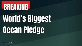 Record $9.1B Pledged Boosts Ocean Protection: Global Marine Action Surges