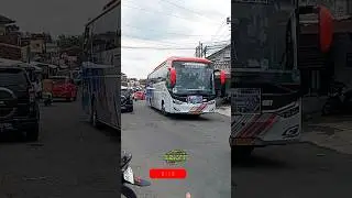 DUO NAGITA TRANSPORT #basuri #busmania #buspariwisata #automobile #basurihorn #viralvideo #shorts