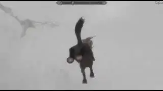 My horse wouldn&rsquo;t stop auto running 😂