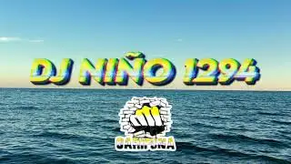 MIX DJ NIÑO 1294