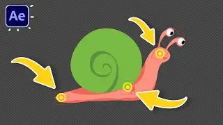 Анимация улитки в обучающих материалах After Effects