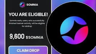Maximize Your Somnia Testnet Earnings (How to Make $$$)