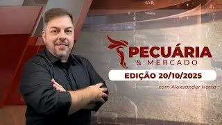 Movimento de alta da arroba veio pra ficar, mas deve ser mais compassado até o final do ano...