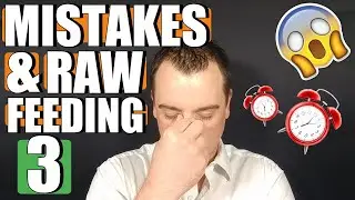 Raw Feeding Mistakes In 2019 Part 3 - Starting Too  Fast