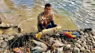 Pesca con arp&oacute;n 