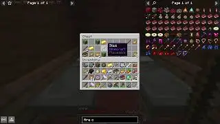 Paladins and Priests minecraft