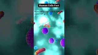 mind-blowing facts about Human Cells  #shortsfeed  #truefactstoday  #viralvideoshorts  @FactsMine