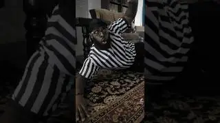 Alabama Brawl #viral #trending #subscribe #shorts #reels #funny #alabama #youtubeshorts #memes #lol