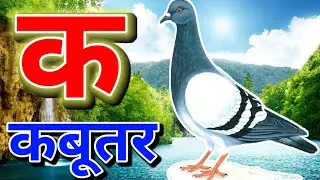 हिंदी वर्णमाला K से Kabutar | बच्चों के लिए मजेदार वीडियो। ABCD। A for apple। #kidssong #kids