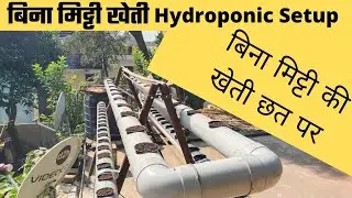 Hydroponic Setup | NFT System Setup | Hydroponic System Setup | Soil Less Plant System | dft system