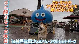 ぷに顔きなこの休日   クリスマスプレゼントは何がいい？？編