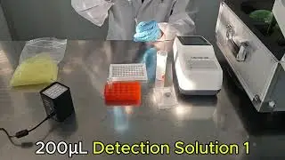 Ochratoxin A (OTA) Rapid Test Kit with Rapid Testing Suitcase Lab