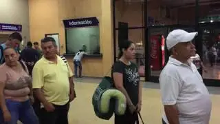 Panama Panama city Terminal de bus / Panama Panama city Bus station