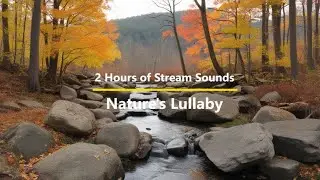 2 Hours of Stream Sounds - Relaxation, Meditation, Sleep | Nature's Healing Sound