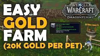 Hyperspawn Gold Farm Dragonflight WoW | Black Tabby Cat Farm