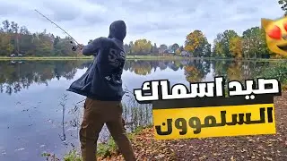 مغامرة صيد السلمون في بحيرات ألمانيا 🎣🇩🇪 وقصة الهجرة