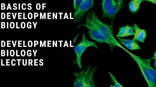 BASICS OF DEVELOPMENTAL BIOLOGY IN HINDI || LIFE CYCLE OF ORGANISM || DEVELOPMENTAL BIOLOGY