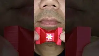 Praline (Edelnugat) Ritter SPORT Cubes Classic Chocolate ASMR#shorts#candy