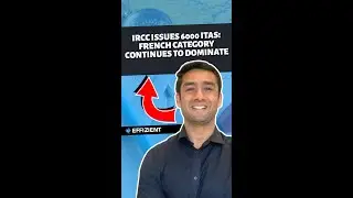 IRCC выдаёт 6000 ITA! Французская категория продолжает доминировать