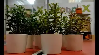 Подготовка к Eurobot в школе RobotX
