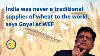India was never a traditional supplier of wheat to the world, says Goyal at WEF | EXIM Buddy