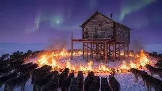 The Last Sentinel: 90-Year-Old Defends Her Sheep Against 1000 Wolves | Yakutia Survival