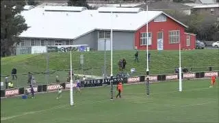 VFL Round 14 Highlights (Footscray v Box Hill) #PJVFL