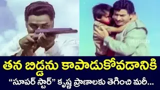 SUPER STAR KRISHNA RISKED HIS LIFE TO SAVE HIS CHILD | RAJANI | JAGGAYYA |  KOTA | V9 VIDEOS
