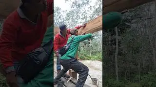 This builder's skills are above average..
