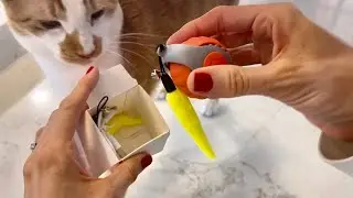 First Time Using This Smart Cat Ball Toy - I Was Not Expecting This!