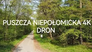 39. Puszcza Niepołomicka 4K Dron 🇵🇱
