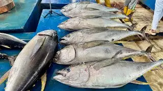 You Won't Believe How Fast He Cuts This Tuna Two Tails! | Fish Market Expert 🔥🔪
