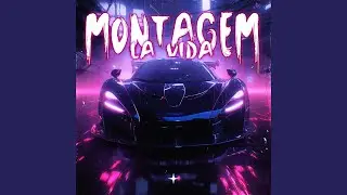 MONTAGEM LA VIDA
