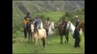 IMAN PASAN ♦ Hnos. Barrientos Guillén ♦ Toril 2000´s (Vídeo Oficial)