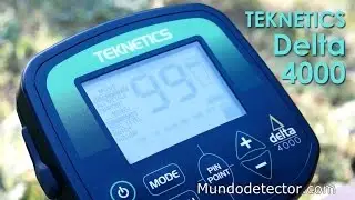 Detector de metales TEKNETICS Delta 4000