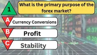 Ultimate Forex Quiz: Test Your Knowledge with 12 Tricky Questions!