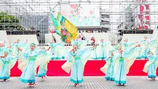 [4K] 上町よさこい鳴子連　高知よさこい祭り 2023 本祭1日目 (中央)