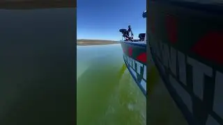 Driving my Lund Pro V Bass with the Mercury Pro XS 200 HP at Extremadura Spain 🇪🇸 🎣
