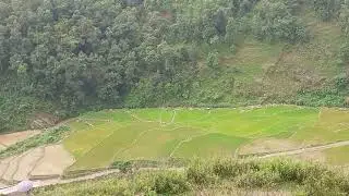 Rural beauties/rural quest/flute tune/nature /beauties of Nepal/field landscape/attractive scenes
