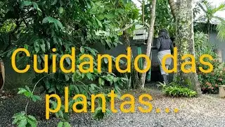 Não tenha dúvida que cuidar das plantas é uma terapia | Natureza linda!