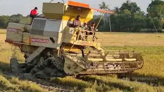 mesin padi Sidam kanan kedah Malaysia. rice combine harvester from Malaysia