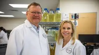 Food Safety Net Services