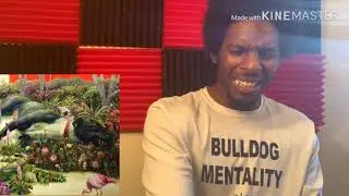 Rival Sons - Too Bad (REACTION)