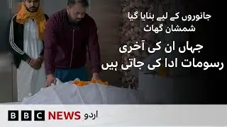 Animal Cremation Centre: Where Pets Are Given Their Final Rites - BBC URDU