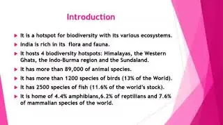 Value of wildlife - ppt