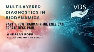 Multilayered Diagnostics in Biodynamics. Part 1: How Trauma in the Knee Can Create Neck Pain